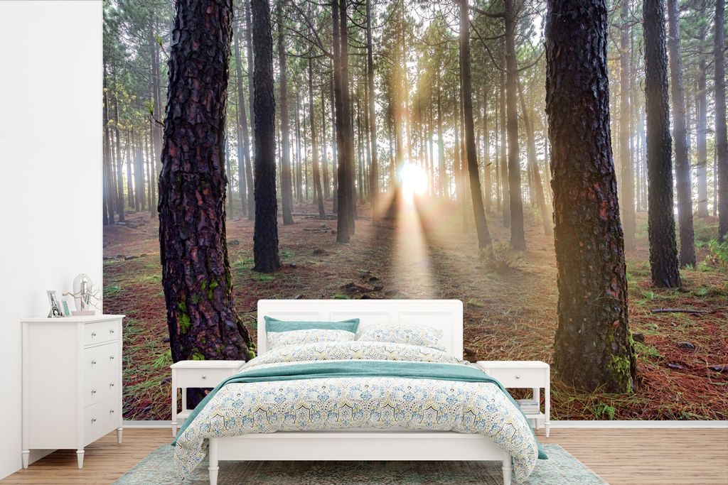 MuchoWow Fototapete für Wohnzimmer oder Schlafzimmer Wandtapete Vinyl Motivtapete Mehrere ausgewachsene Baumstämme im Wald - 390x260 cm - Papie...