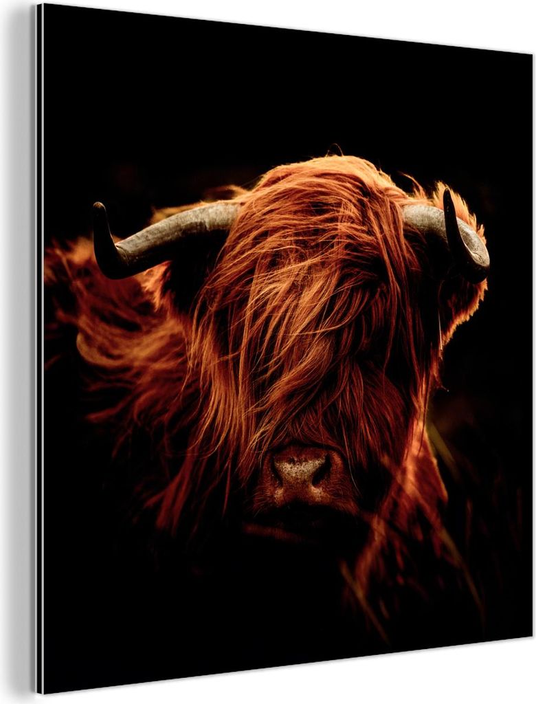 MuchoWow Wanddekoration Metall Metallbild Wandkunst 20x20 cm Schottisches Hochlandrind - Kuh - Hörner - Porträt - Tiere MuchoWow Aluminium Gemäl...