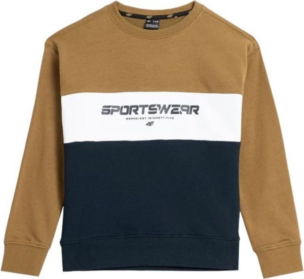 Kapuzenpullover 4F 4FJAW23TSWSM63074S