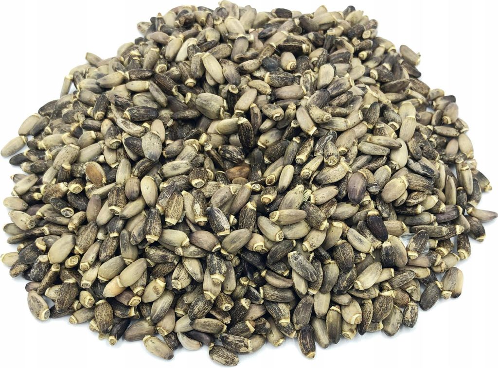 Mariendistel Mariendistelsamen 1 Kg 100% Produktbild 