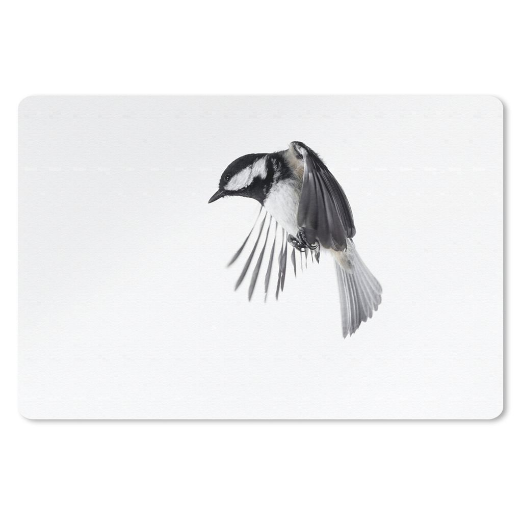 MuchoWow Schreibtischunterlage Vogel - Federn - Schwarz - Weiß 60x40 cm - XXL Mauspad - Großes Mauspad