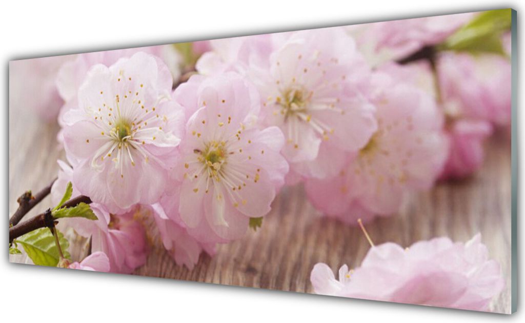 Küchenrückwand aus Glas 125x50cm Spritzschutz Zweig Blumen Pflanzen
