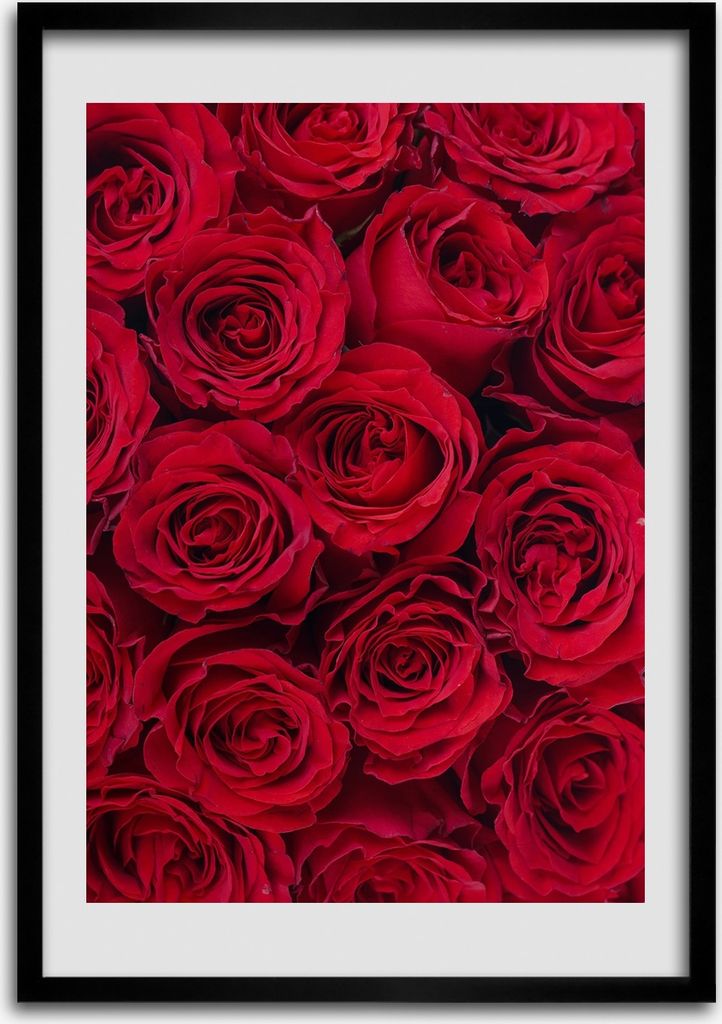 Bild - Bilderrahmen - 50 cm x 70 cm - MDF - Rahmen - Wandkunst Rote Rose