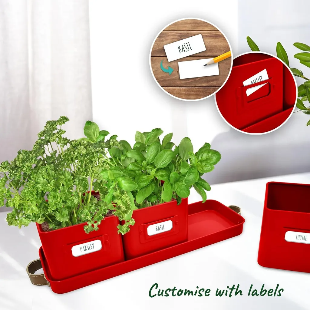 Pots à herbes aromatiques anti-fuite avec plateau et poignées cuir