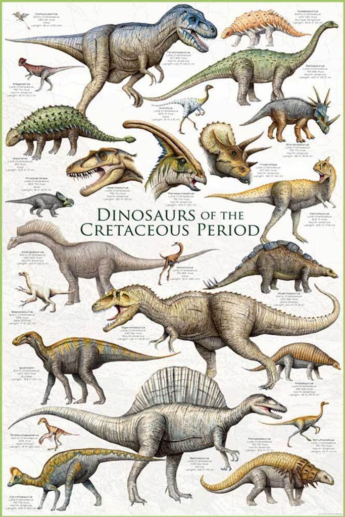 Educational Dinosaurs Cretaceous Period Dinosaurier - Image du produit 
