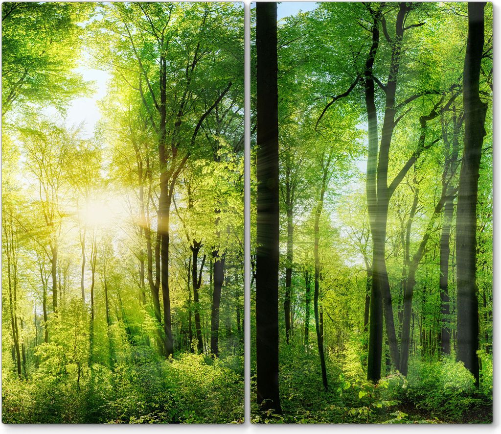 DEQORI Herdabdeckplatte Glas 2-tlg 'Sonne durchbricht Wald' Herd Abdeckung Küche