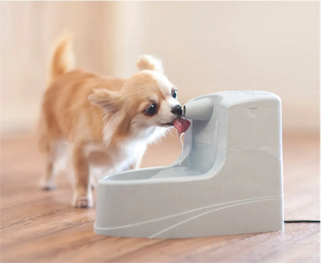 Fontaine à eau pour chat Drinkwell® Mini 1,2L - Hydratation permanente