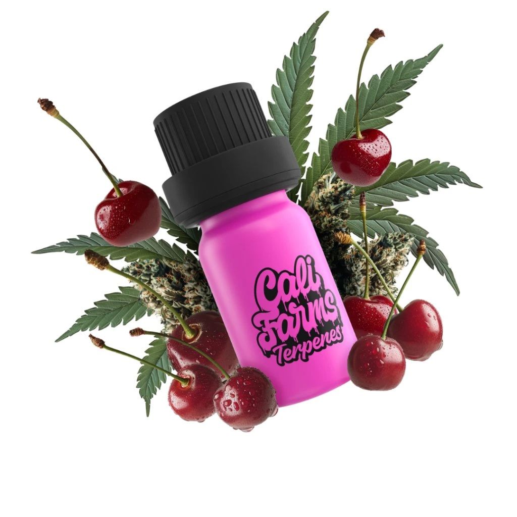 Konopne terpeny Botanicals | PROFIL TERPENOWY - Cherry Zdjęcie produktu 