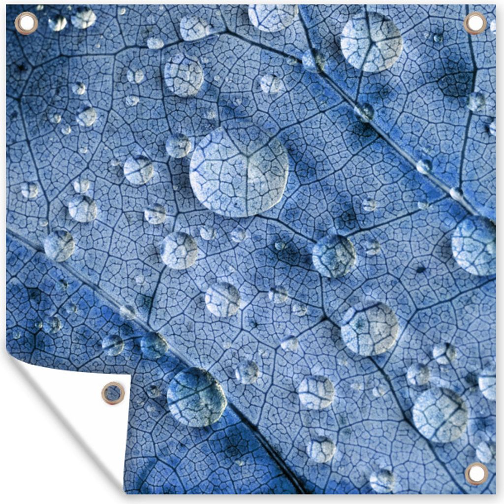 MuchoWow 50x50 cm Outdoor-Poster Gartendeko Sichtschutz Garten Poster für den Garten Tropfen auf einem blauen Blatt
