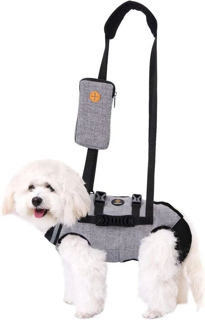 Collier pour petits chiens idéal promenades quotidiennes nylon gris S