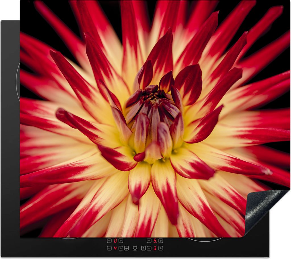 KitchenYeah Herdabdeckplatte Blumen - Natur - Makro , 57x51cm, Küche Deko, Glaskeramikfeld Herdabdeckung, Abdeckplatte fùr Kochfeld