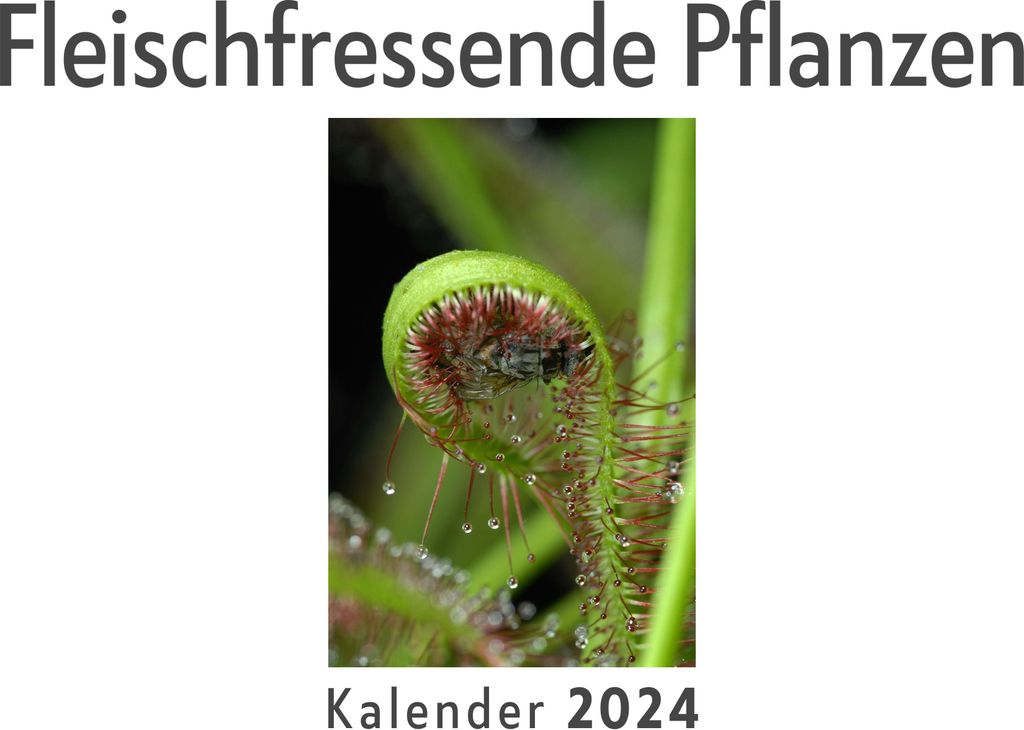 Fleischfressende Pflanzen (Wandkalender 2024, Kalender DIN A4 quer, Monatskalender im Querformat mit Kalendarium, Das perfekte Geschenk)