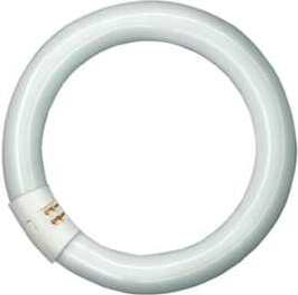 Philips Fluoreszierende Glühbirne Master TL-E Circular 22W/840 G10q