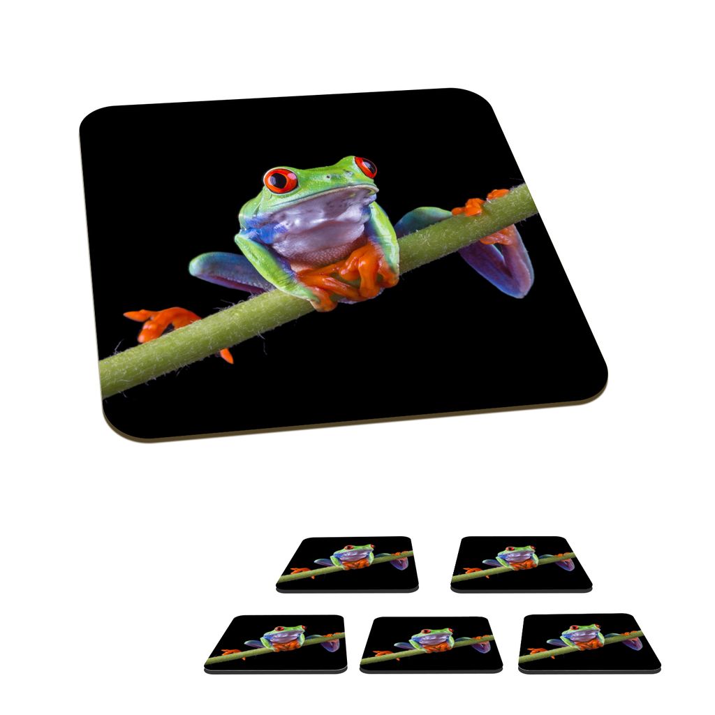 KitchenYeah Glasuntersetzer Quadratisch 6er Set Frosch - Orange - Grün 10x10 cm Untersetzer für Gläser - Getränkeuntersetzer - Tischplattensc...