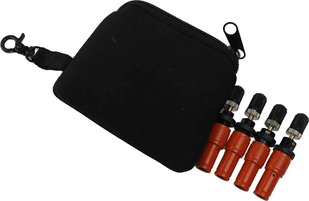 Déflateur de pneus réglable 10-30 PSI en laiton orange kit automatique