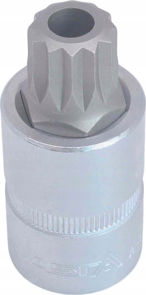 ASTA | Öldienst-Bit-Stecknuss, Vielzahn M16, VW, AUDI, PORSCHE, FORD