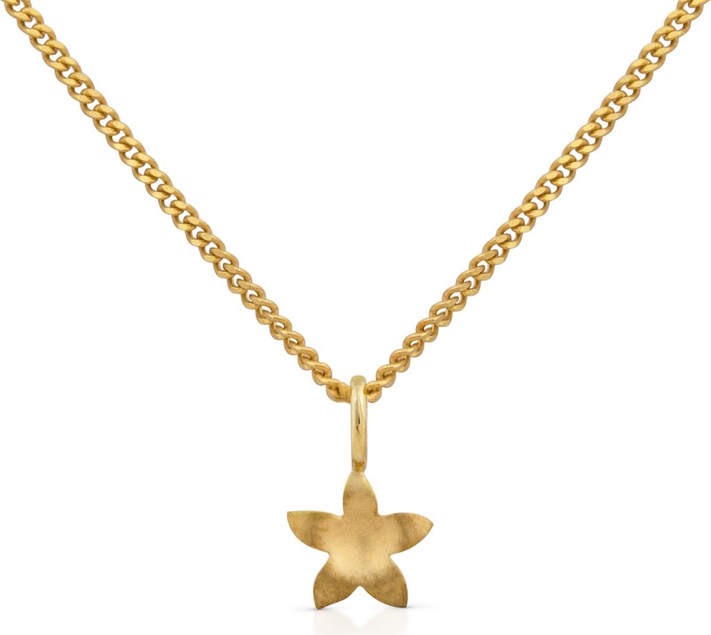 Orolino Halskette 585/- Gold 42/45cm gelb ohne 500341461-1 Produktbild 