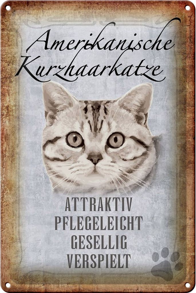 Blechschild Spruch 20x30cm Amerikanische Kurzhaarkatze