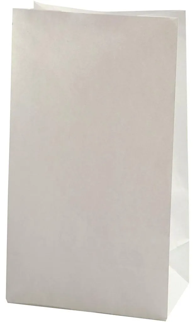 Sacs papier blanc fond renforcé 100 pièces pour cadeaux et vente