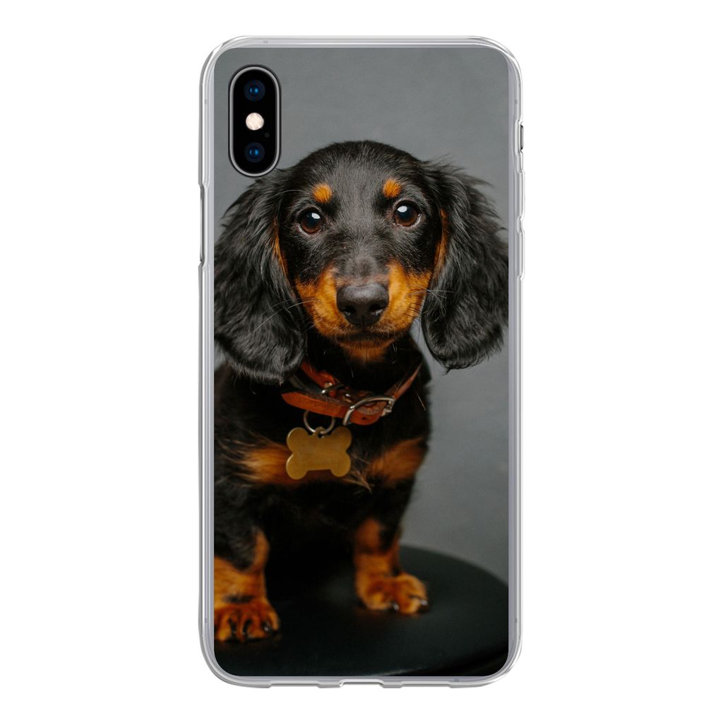 MuchoWow Handyhülle Schutzhülle Hülle für iPhone Xs Studiofoto eines Dackelwelpen Silikon Softcase Handy Hülle - Handytasche