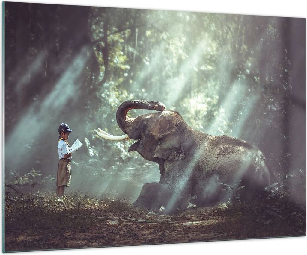 Bilder auf glas - Elefant Dschungel Stoßzahn - 100x70cm - Glasbilder - Wandbilder - Kunstdruck - zum Aufhängen bereit - Wanddekoration aus Glas -...