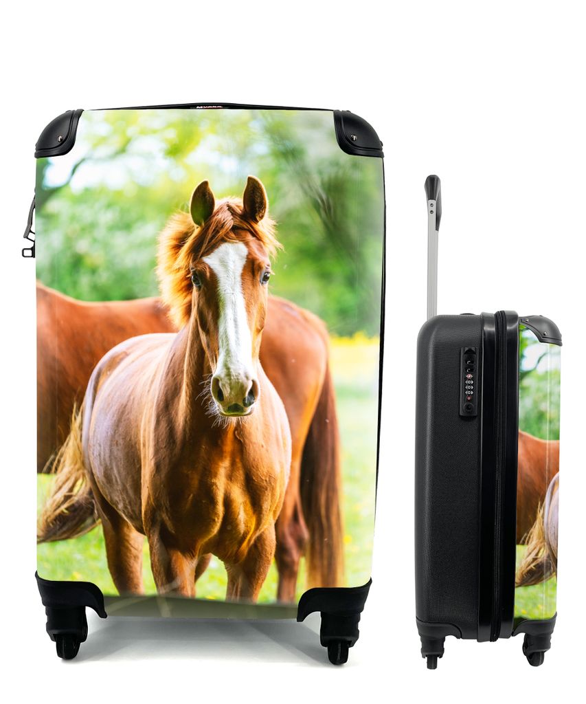 MuchoWow Koffer Handgepäck Trolley Rollkoffer Kleine Reisekoffer mit 4 Rollen - Pferde - Licht - Wiese - Cabin Size < 55x40x23 cm & 55x40x20 cm ...