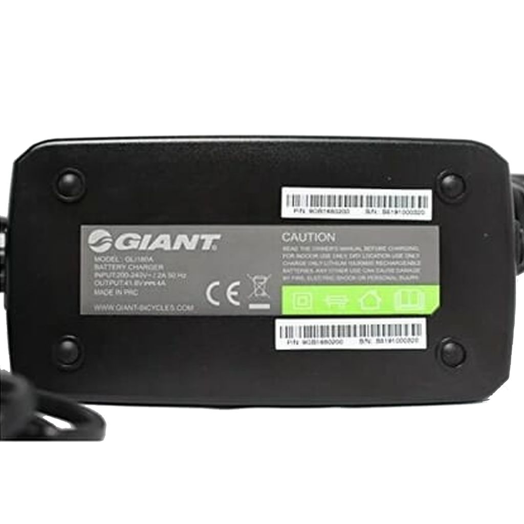 Giant EnergyPak Chargeur de batterie rapide 41.8V 5 Image du produit 