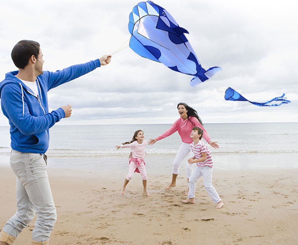 3D Soft Kite, Dolphin Kite, Orca Kite, große frameless, blaue und weiße Farbgebung, ideal für Strand und Freizeitaktivitäten