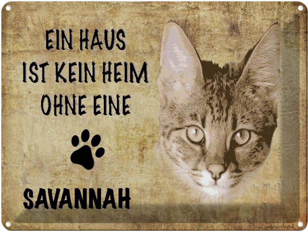 vianmo Blechschild 30x40 cm Savannah Katze ohne kein Heim