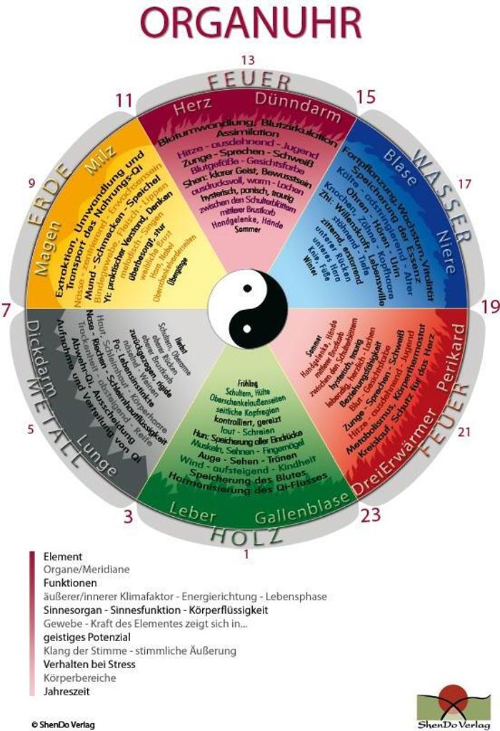 Schaubild Organuhr Fünf Wandlungsphasen und Elemente taoistisch-chinesisch DIN A2