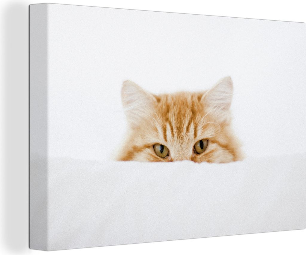OneMillionCanvasses - Leinwandbilder - 140x90 cm, Katze - Rot - Weiß - Mädchen - Jungen - Kind, Wandbilder Kunstdruck Wanddekoration