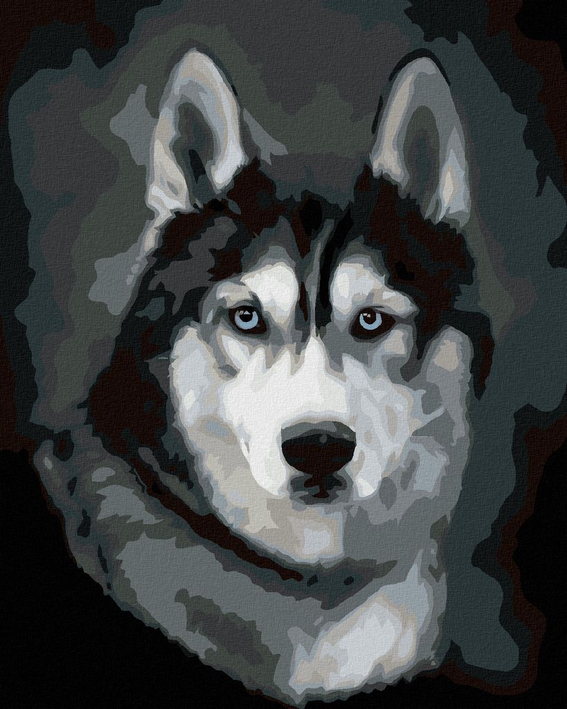Zuty - Malen nach Zahlen - HUSKY PORTRÄT, 40x50 cm, ohne Keilrahmen