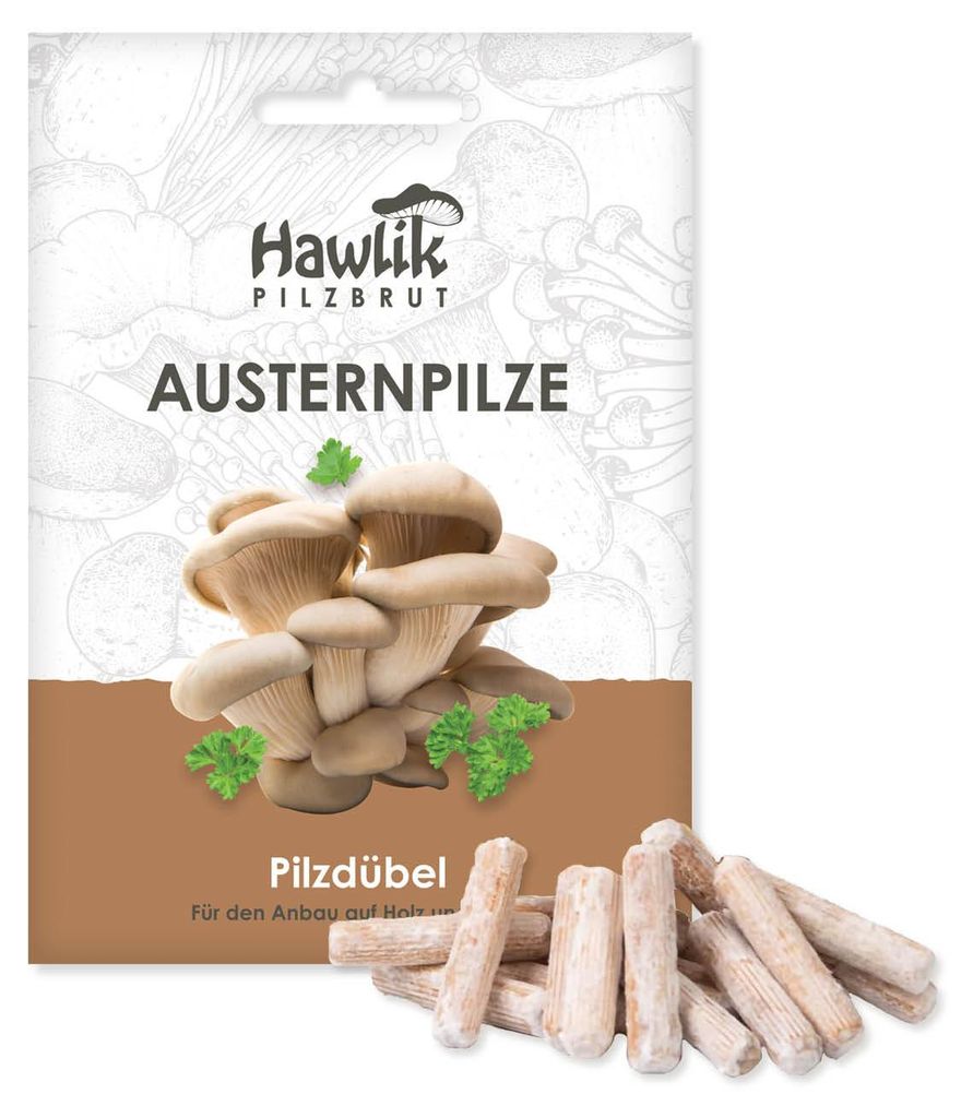 Hawlik Pilzbrut Austernpilze Dübel – 20 Pilzdübel, Pilze Produktbild 