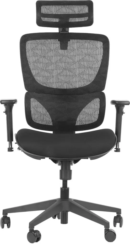 Chaise ergonomique ErgoNew S1 avec dossier maille ajustable et accoudoirs noirs
