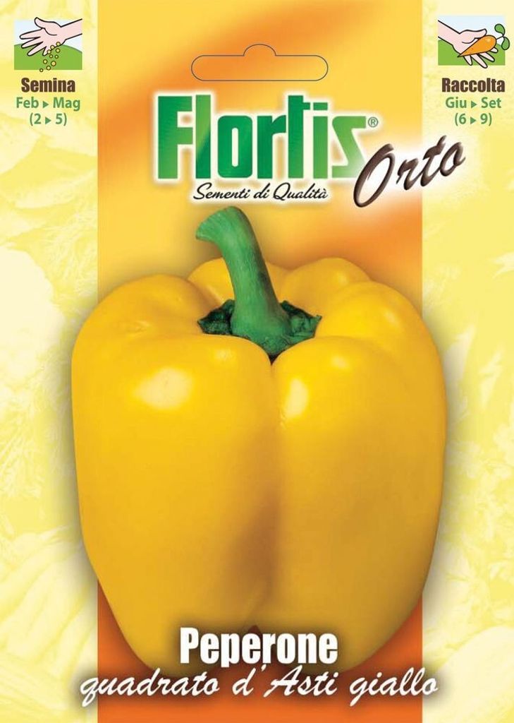 Gelbe Paprika Quadrato d'Asti | Paprikasamen von Flortis