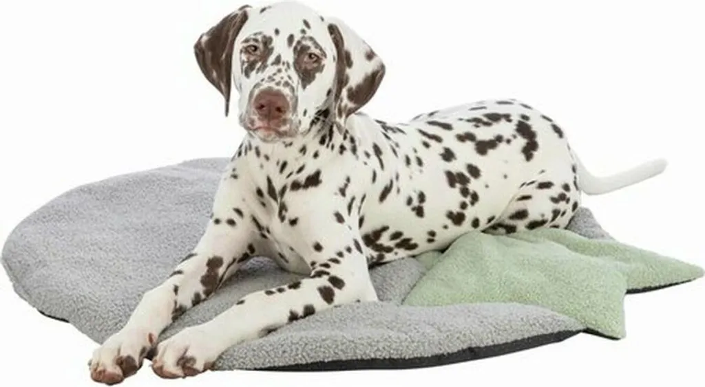 Recensione Tappetino Trixie Puppy 86x80: Morbidezza e Praticità - 8