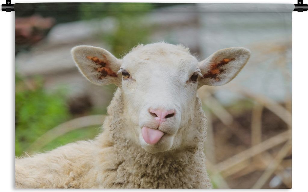 MuchoWow Wandteppich Wandbehang Schafe - Tiere - Wolle 150x100 cm Tapisserie Dekoration Wandtuch - Waschbar - Tapisserien - Wand-Decke
