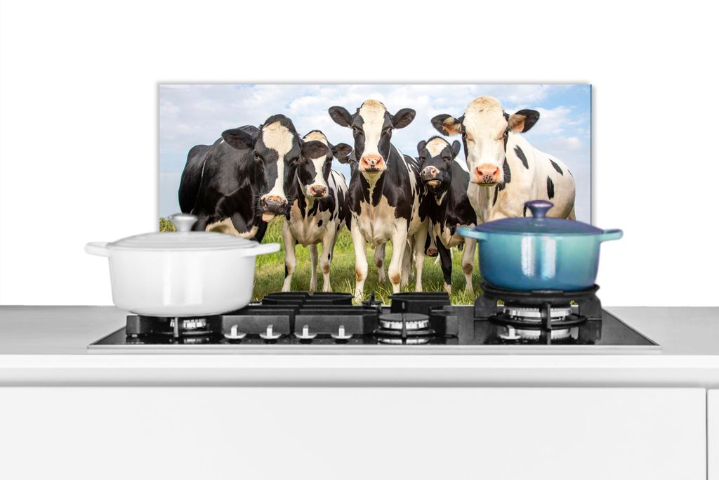KitchenYeah Spritzschutz Küche - Küchenrückwand - Wandschutz für Herd und Spüle - Kühe - Weide - Tiere - Natur - Gras 60x30 - Alu-Dibond (...