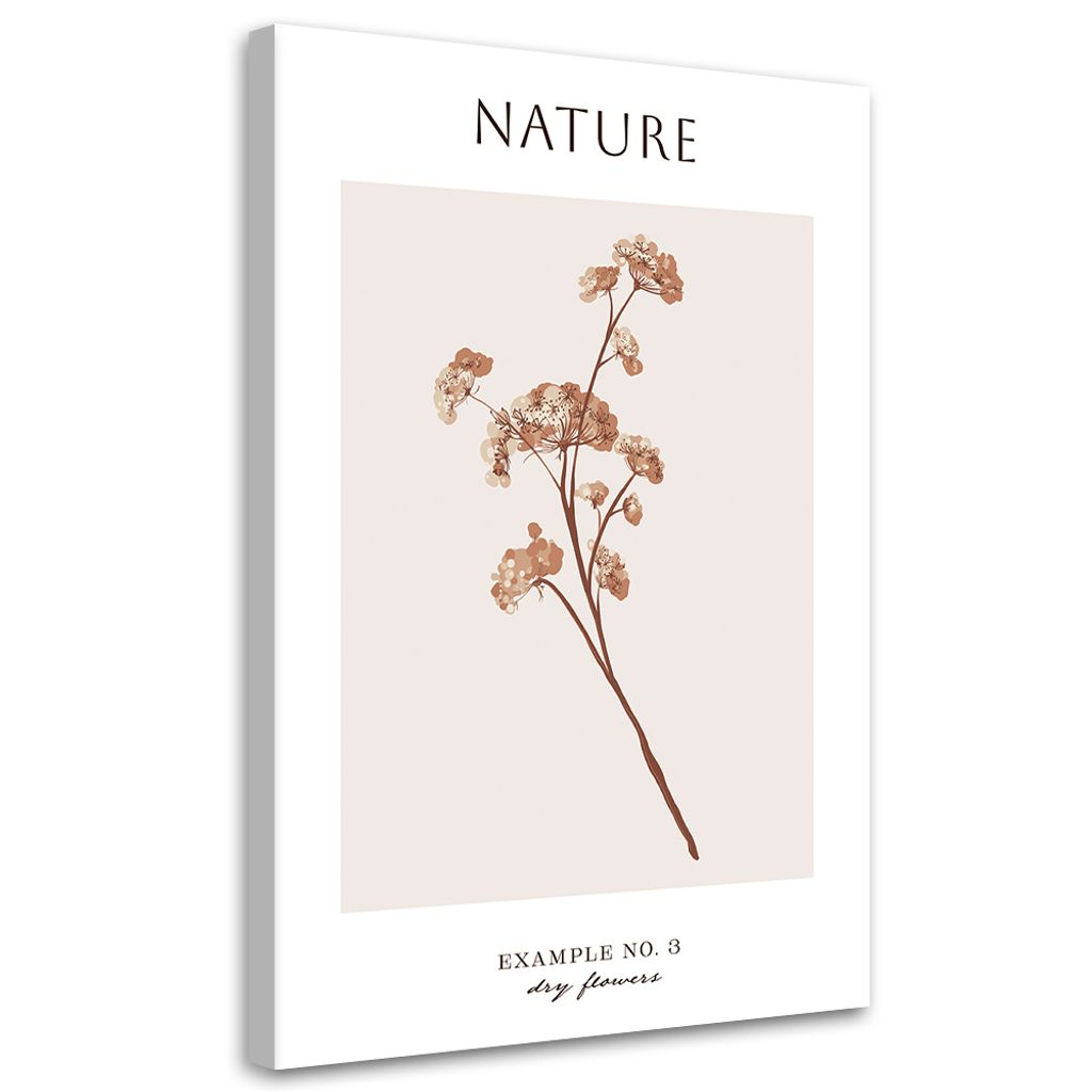 Leinwandbild Getrocknete Blume – Natur 40x60 Feeby Beige bild für die wand bereit zum aufhängen