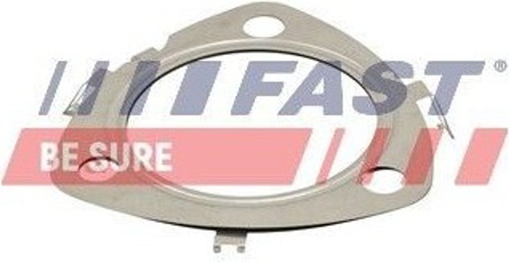 FAST FT84505 - OE 1733896 Dichtung, Abgasrohr für Transit V363, Ranger (TKE), Tourneo Custom, Transit Custom, Transit