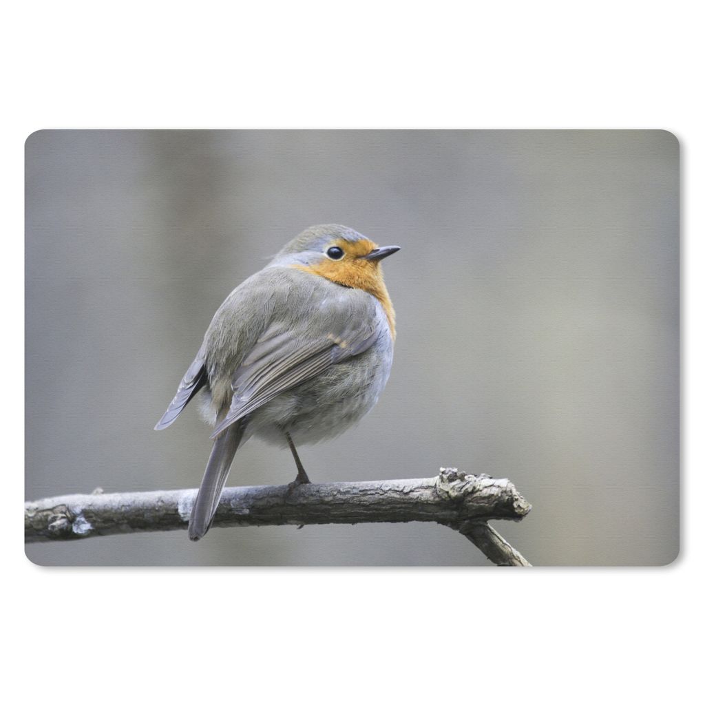 MuchoWow Mauspad Mousepad Rotkehlchen - Zweig - Winter 27x18 cm - Mousepads - Maus Mat - Pad - Mausunterlage - Büroartikel - Desk Matten