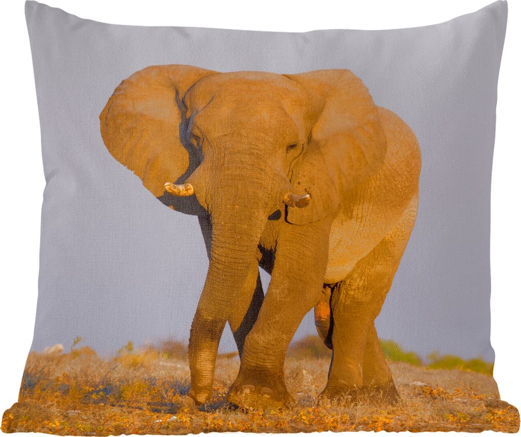 MuchoWow Zierkissen Sofakissen Wohnzimmer Dekokissen 40x40 cm Afrikanischer Elefant im Sand - Foto Kissen - Schlafzimmer Dekoration