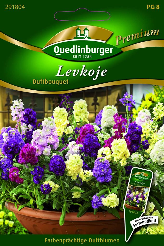 Quedlinburger Saatgut - Levkojen Duftbouquet - Samen - Produktbild 