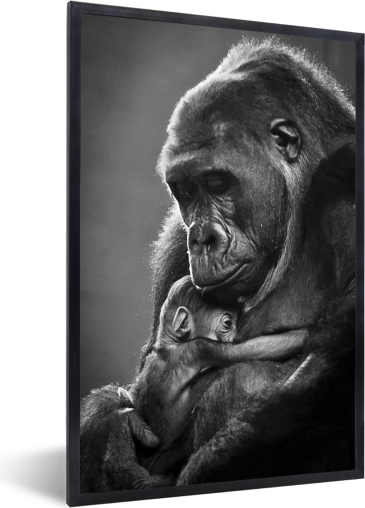 MuchoWow MuchoWow Gerahmtes Poster Schwarz-Weiß-Bild einer Gorillamutter mit ihrem neugeborenen Baby 40x60 cm - Poster mit zchwarzem Bilderrah...
