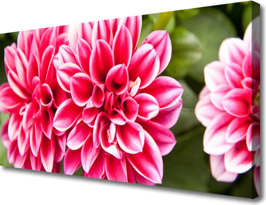 Tulup Leinwand-Bilder 100x50 Wandbild Canvas Kunstdruck Produktbild 