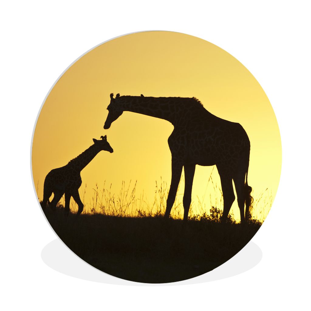 MuchoWow Rundes Wandbild - Runde Bilder Giraffe - Scherenschnitt - Kalb Ø 90 cm Kreis Wanddekoration Kunststoff - Wandkreis - Wandschmuck - Wand...