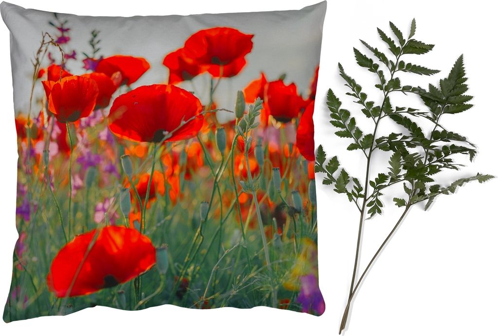 MuchoWow® Zierkissen Sofakissen Wohnzimmer Dekokissen 40x40 Produktbild 