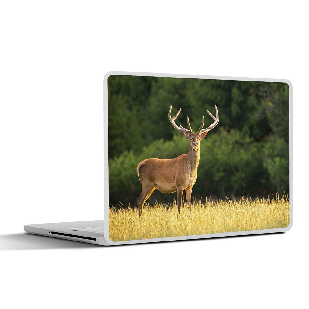 MuchoWow Laptop Aufkleber Sticker Cover Hirsch - Geweih - Gras - Natur - Tiere - Grün 36.5x27.5 cm - Laptop-Sticker