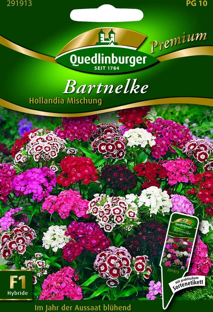 Quedlinburger Saatgut - Bart-Nelken Hollandia Mischung - Samen - 291913