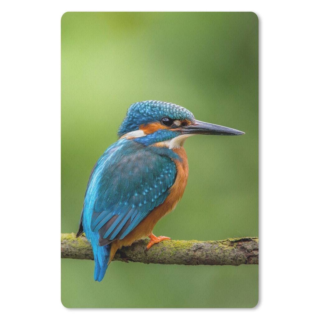 MuchoWow Mauspad Mousepad Eisvogel - Zweig - Moos - Vogel - Grün 18x27 cm - Mousepads - Maus Mat - Pad - Mausunterlage